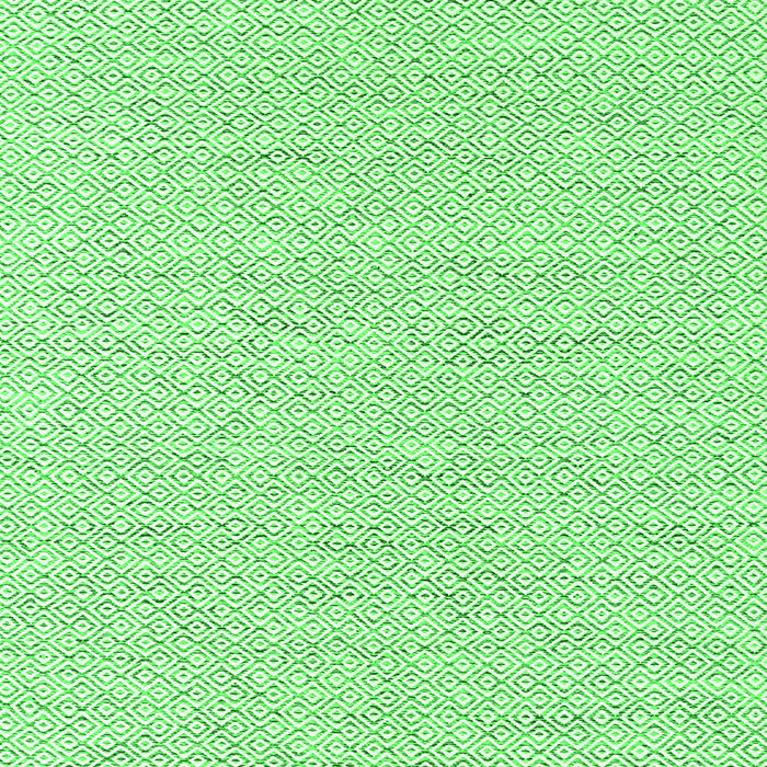 Abstract Green Contemporary Rug, con2177grn