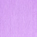 Square Machine Washable Solid Purple Modern Area Rugs, wshcon2180pur