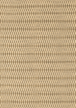 Abstract Brown Contemporary Rug, con2182brn