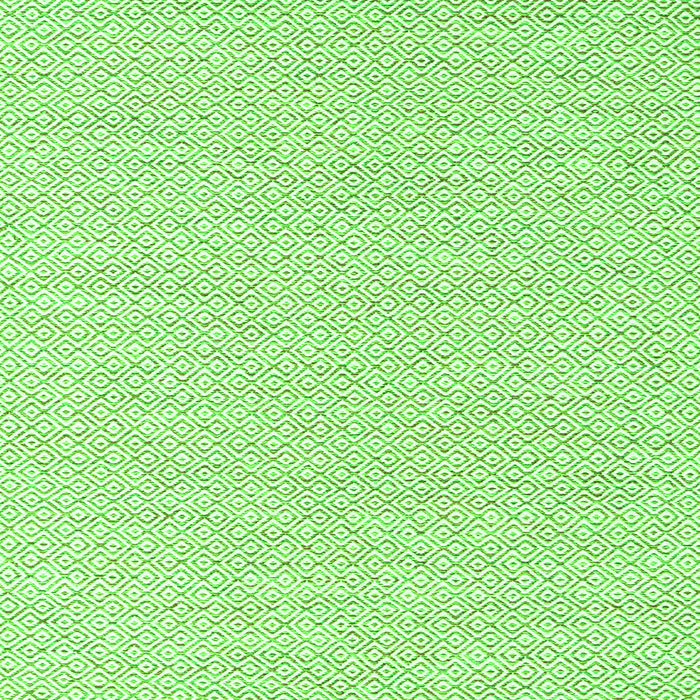 Solid Green Modern Rug, con2183grn