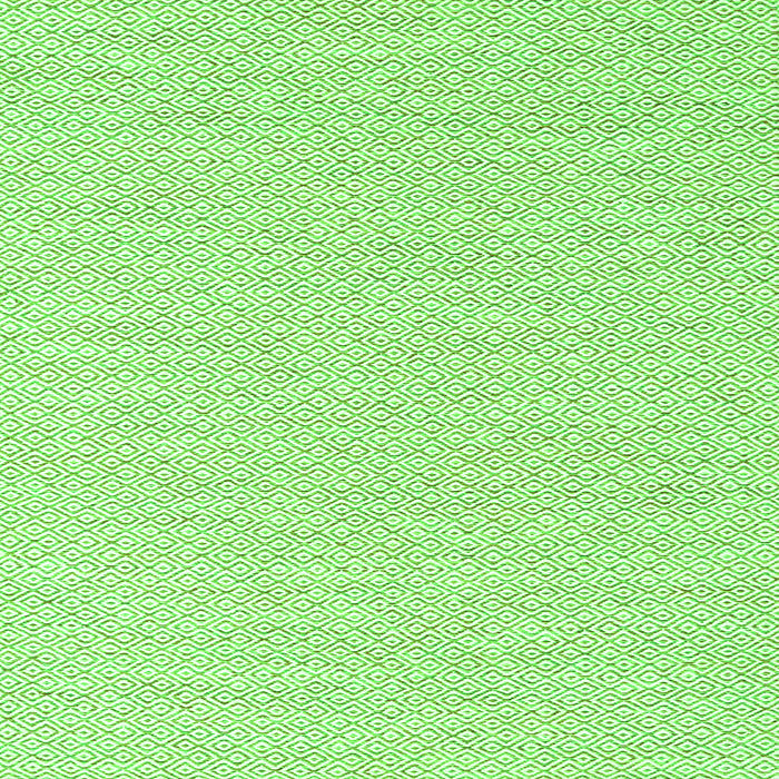 Serging Thickness of Solid Green Modern Rug, con2183grn