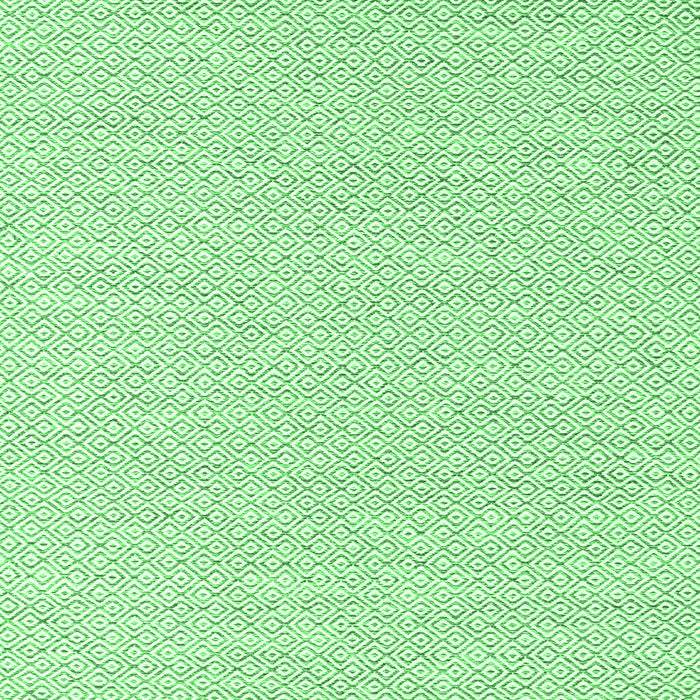 Solid Emerald Green Modern Rug, con2183emgrn