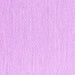 Square Solid Purple Modern Rug, con2183pur