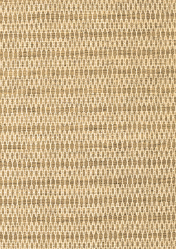 Abstract Brown Contemporary Rug, con2186brn