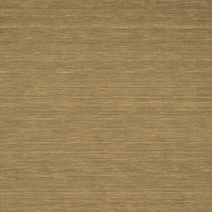 Abstract Brown Contemporary Rug, con218brn