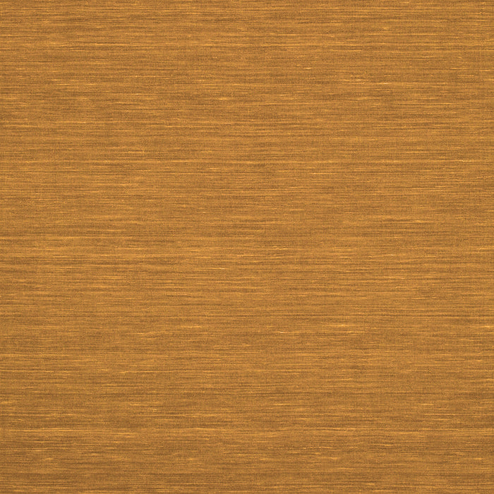 Abstract Orange Contemporary Rug, con218org
