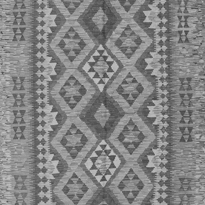 Oriental Gray Traditional Rug, con2196gry