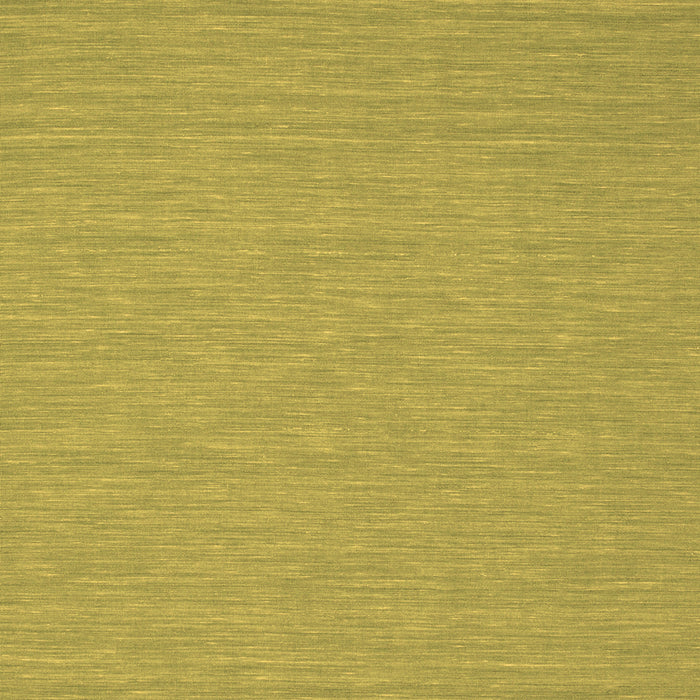 Abstract Brown Contemporary Rug, con219brn