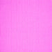 Square Solid Pink Modern Rug, con220pnk