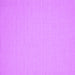 Square Solid Purple Modern Rug, con220pur