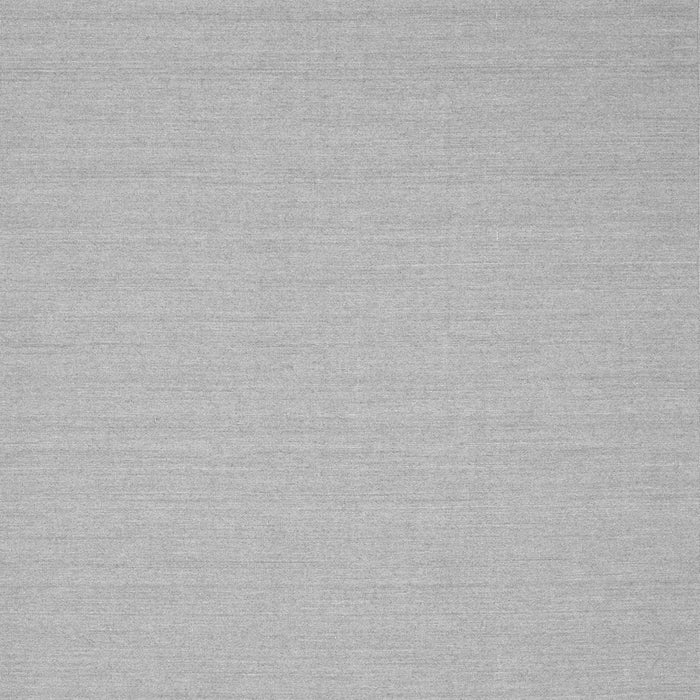 Solid Gray Modern Rug, con220gry
