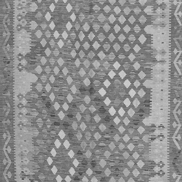 Oriental Gray Traditional Rug, con2212gry