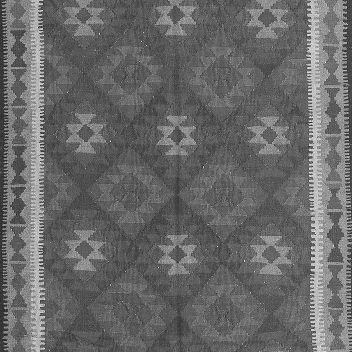 Oriental Gray Traditional Rug, con2214gry