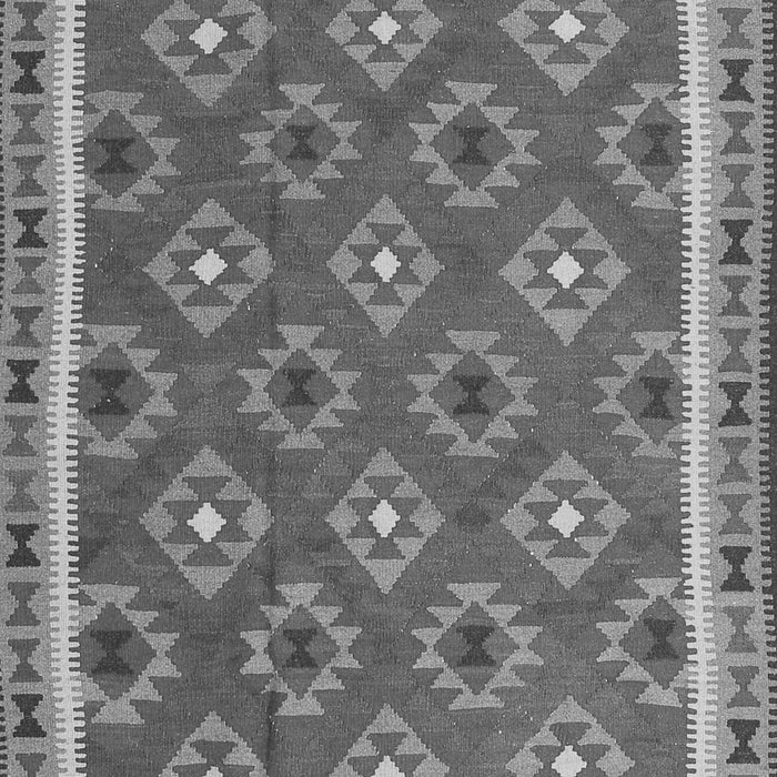 Oriental Gray Traditional Rug, con2215gry
