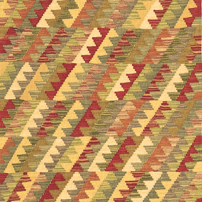 Machine Washable Southwestern Brown Country Rug, wshcon2221brn