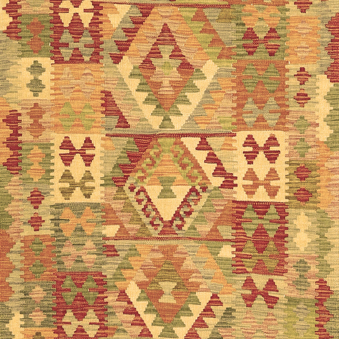 Machine Washable Southwestern Brown Country Rug, wshcon2231brn