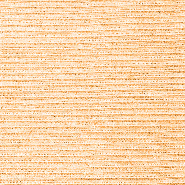 Solid Orange Modern Rug, con2249org