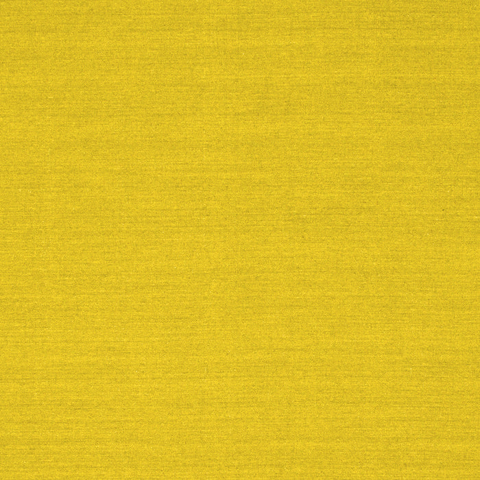 Machine Washable Solid Yellow Modern Rug, wshcon225yw