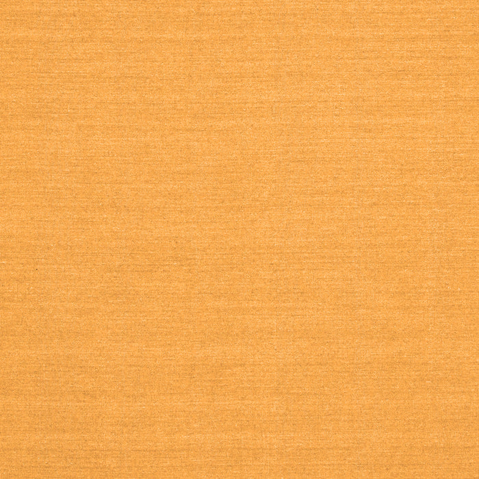 Solid Orange Modern Rug, con225org