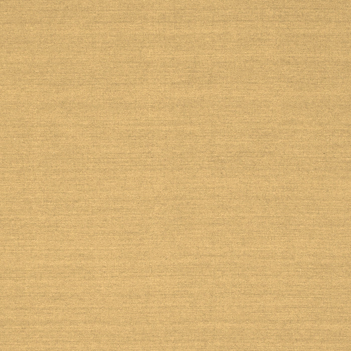 Solid Brown Modern Rug, con225brn