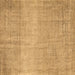 Square Abstract Brown Contemporary Rug, con2260brn