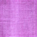 Square Abstract Purple Contemporary Rug, con2260pur