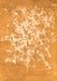 Serging Thickness of Machine Washable Abstract Orange Contemporary Area Rugs, wshcon2264org