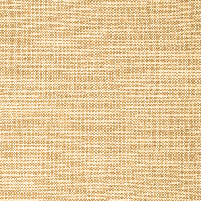 Solid Brown Modern Rug, con2267brn
