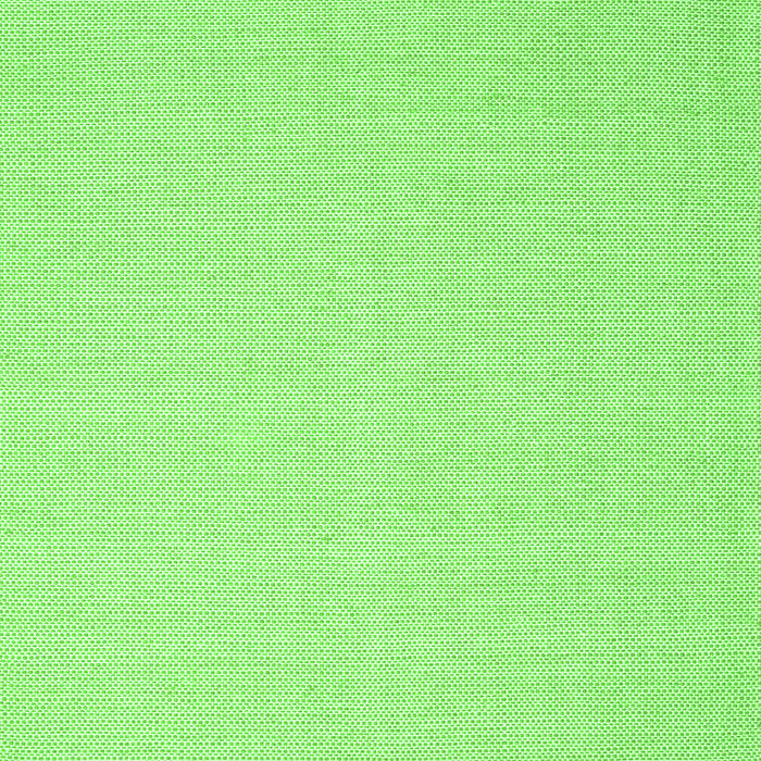 Serging Thickness of Solid Green Modern Rug, con2267grn