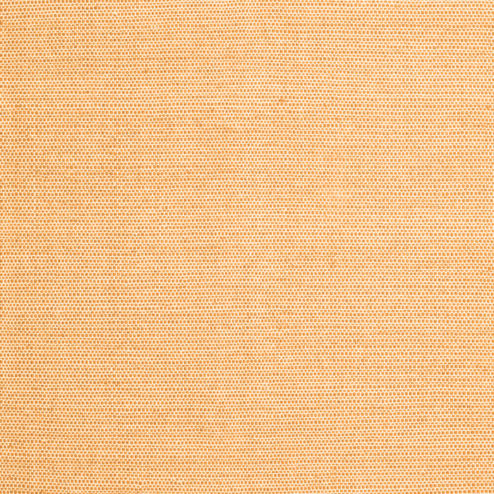 Solid Orange Modern Rug, con2267org