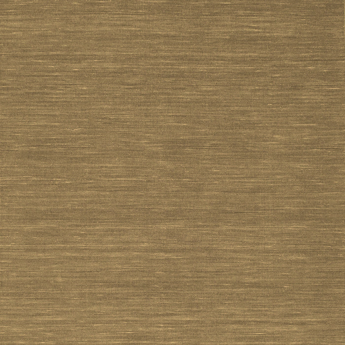 Abstract Brown Contemporary Rug, con226brn