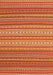 Oriental Orange Traditional Rug, con2272org