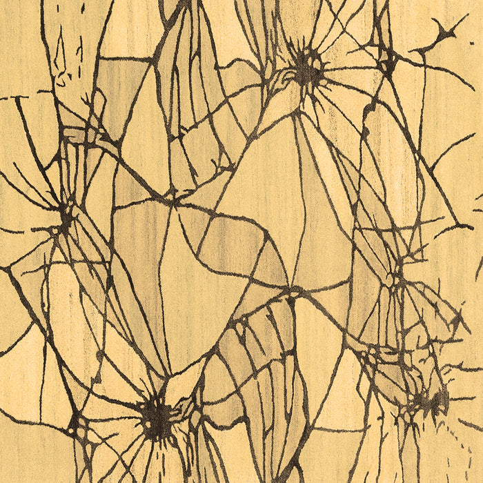 Square Machine Washable Abstract Brown Contemporary Rug, wshcon2273brn