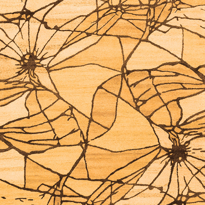 Abstract Orange Contemporary Rug, con2273org