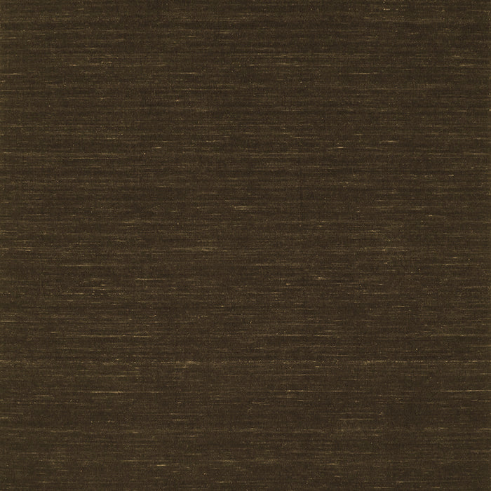 Abstract Brown Contemporary Rug, con227brn