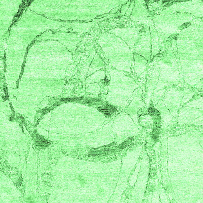 Machine Washable Abstract Emerald Green Contemporary Area Rugs, wshcon2333emgrn