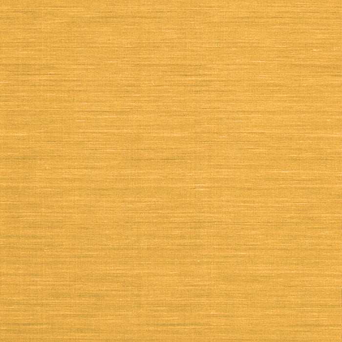 Abstract Orange Contemporary Rug, con233org