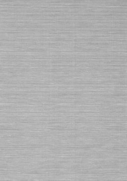 Abstract Gray Contemporary Rug, con233gry