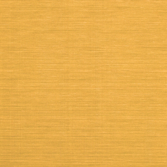 Serging Thickness of Abstract Orange Contemporary Rug, con233org