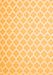 Trellis Orange Modern Rug, con2353org