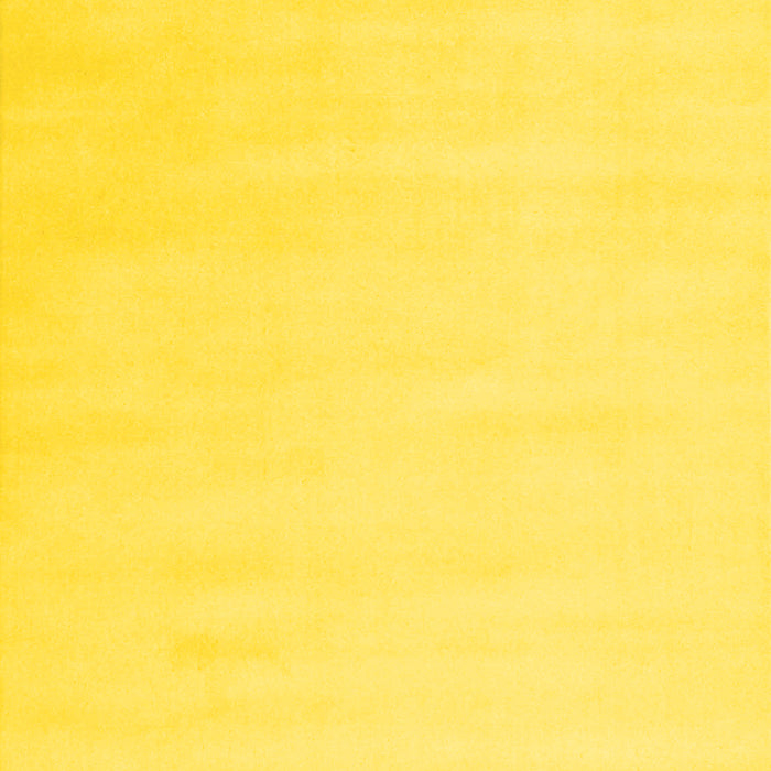 Solid Yellow Modern Rug, con2373yw