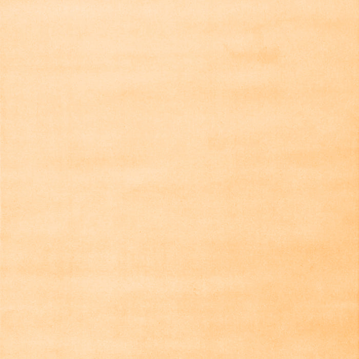 Solid Orange Modern Rug, con2373org