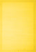 Solid Yellow Modern Rug, con2377yw