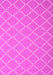 Trellis Pink Modern Rug, con2379pnk