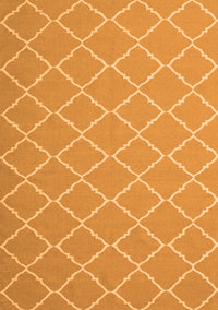 Trellis Orange Modern Rug, con2379org