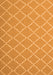 Trellis Orange Modern Rug, con2379org