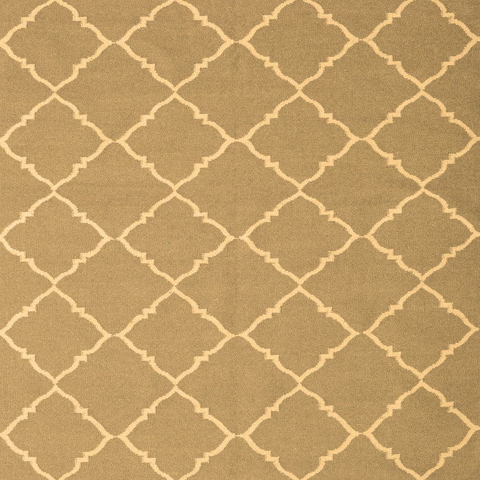 Trellis Brown Modern Rug, con2379brn