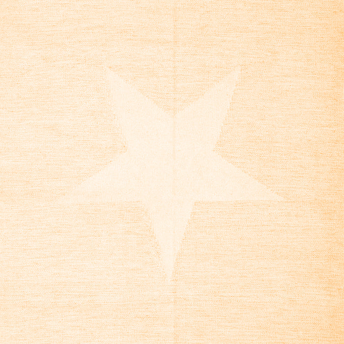 Solid Orange Modern Rug, con2381org