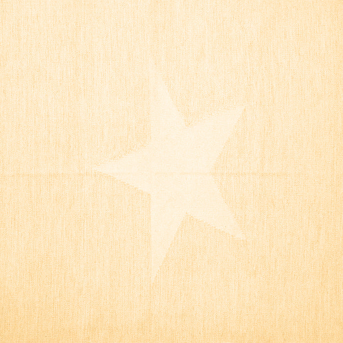 Square Solid Brown Modern Rug, con2381brn