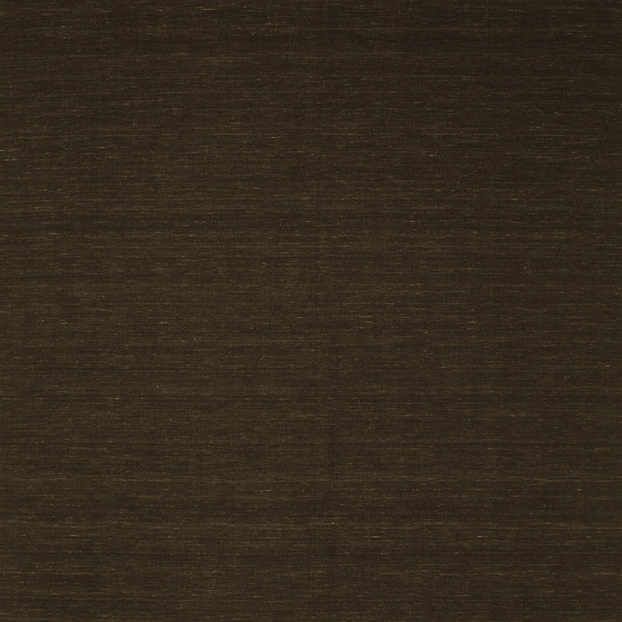 Abstract Brown Contemporary Rug, con238brn